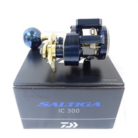 ２１ソルティガＩＣ３００